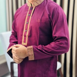 best chainis panjabi